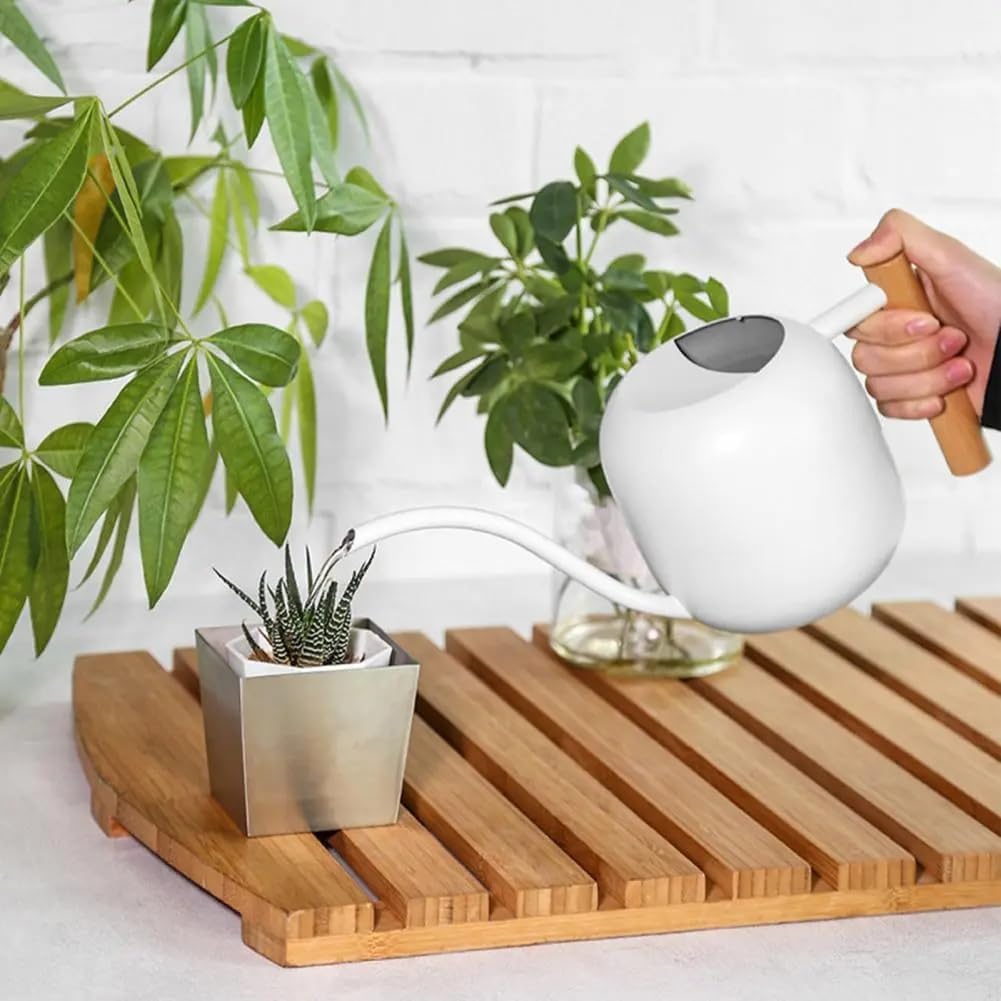 Small Watering Can Indoor Plants, 40oz/1.2L Garden Watering Can, House Plant Watering Can Cute Watering Pot with Long