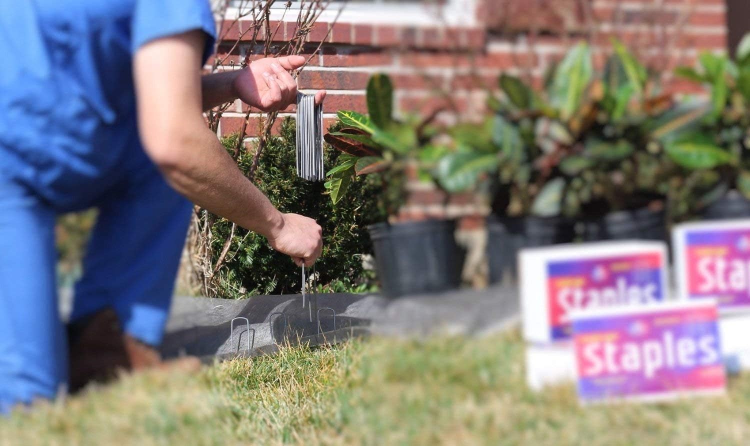 Ashman Garden Stakes, Galvanized Landscape Staples and Fence Stake Heavy Duty (1000 Count)