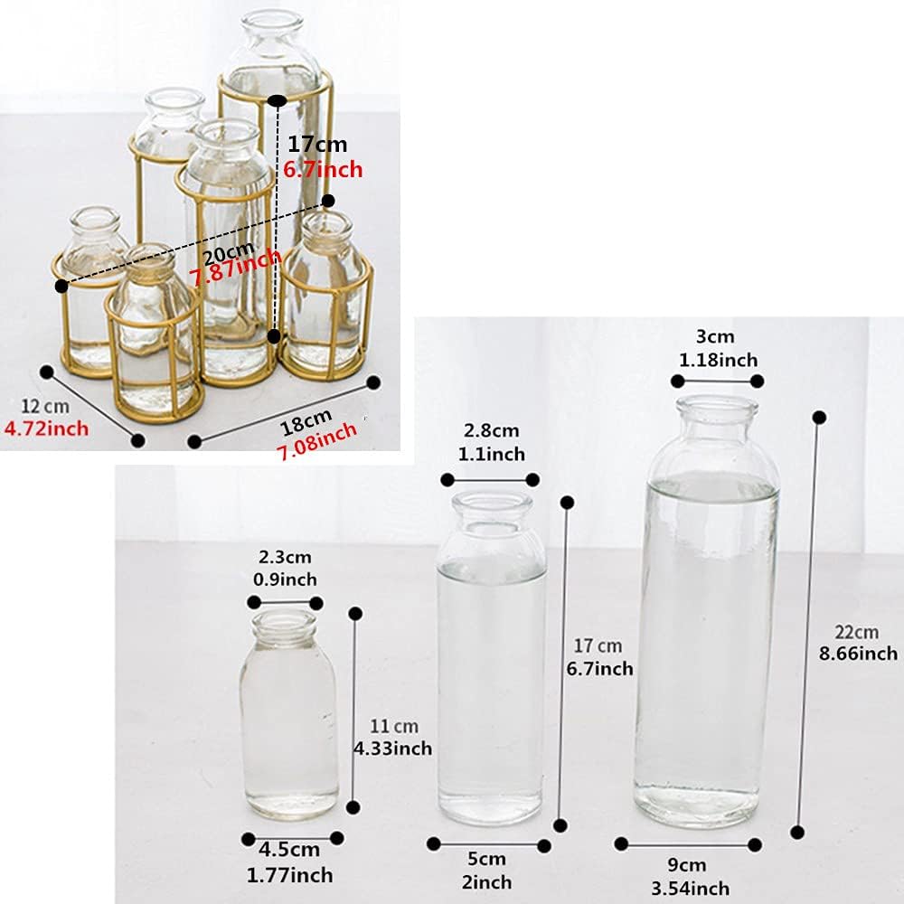 Flower Vases with 6 Bottle Crystal Clear Glass Flower Vase with Metal Stand Propagation Station Plant Display Holder