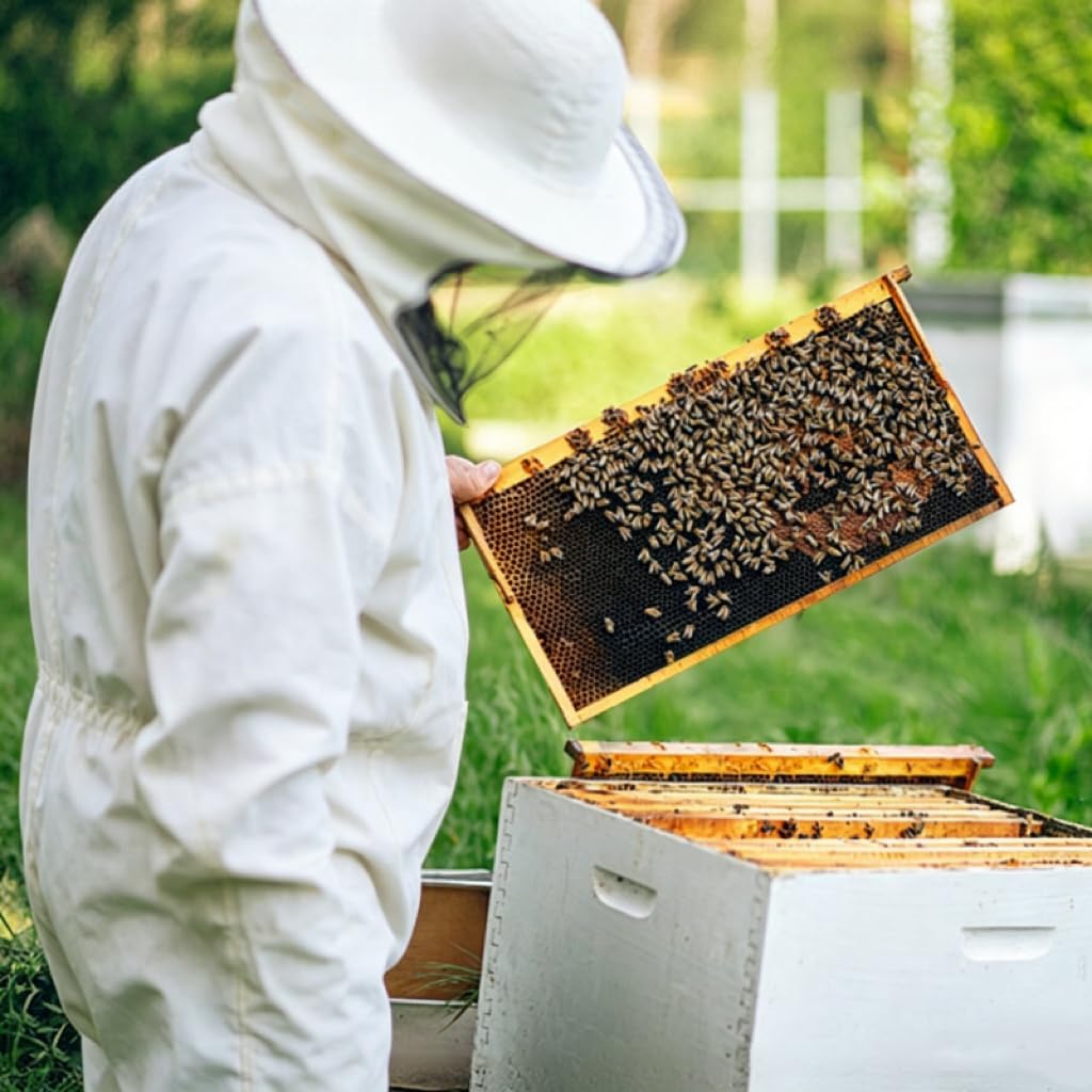 BeeCastle 10 Pack Beehive Frames and Wax Foundations for Deep Brood Bee Hives with Wooden Bee Hive Frames and 100%