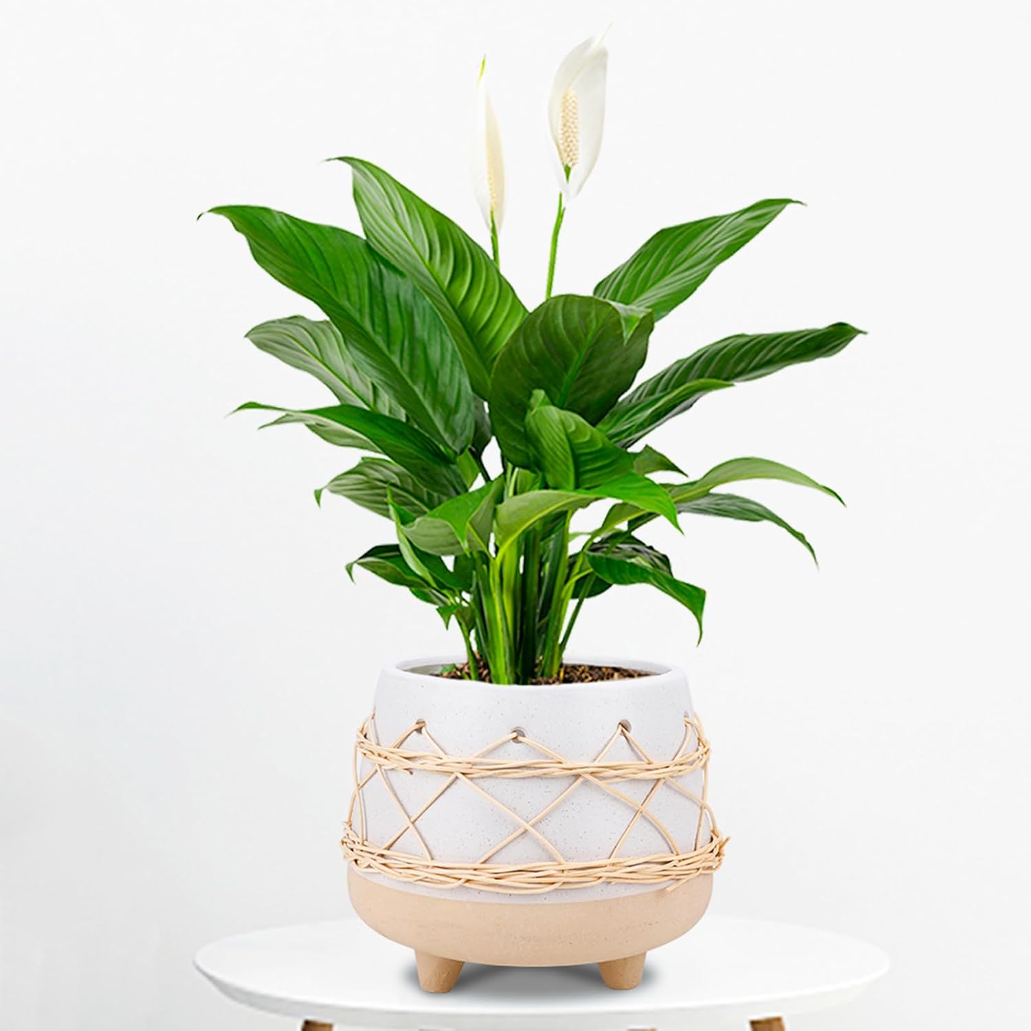 8 in Ceramic Planter Pot for Indoor & Outdoor Plant, Flower | Modern Rattan Accent Design, Mid-Century Planter with