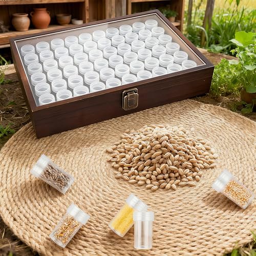 Wooden Seed Storage Organizer, 60 Slots Pine Wood Box