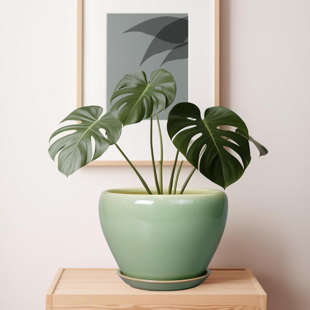 Ceramicfor Ceramic Planter Pot - 10 Inch Plant Pot for Indoor Plants Decorative Planter with Drainage Hole and Saucer