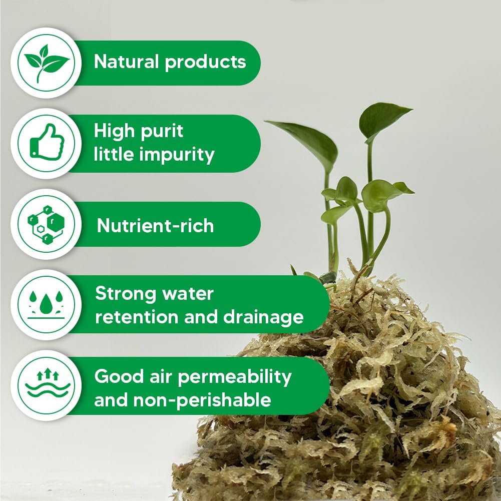 Natural Long Fiber Sphagnum Moss 42QT for Orchid Potting Mix, and Moss Pole for Plants Indoor. Ideal for Propagating