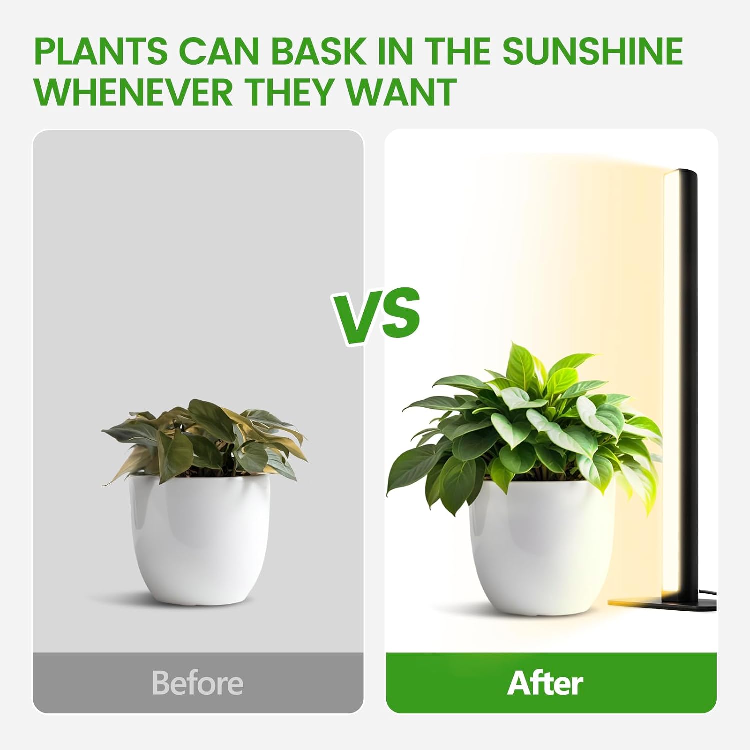 Grow Lights Indoor Plants, 20W 169 LED Full Spectrum with Timer | Hanging Plant Growth Light with Adjustable Dimmable