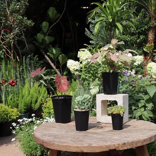 10 Pack 5.30 Inch Black Plastic Deep Nursery and Seedling Pots, Round Planter Container for Transplanting, Cutting, Succulent