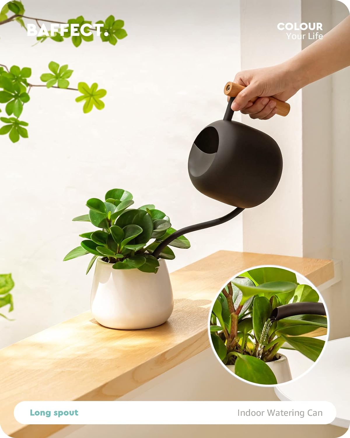 Baffect Watering Can Indoor Plants with Long Spout, 1.2L / 41oz (Black) | Small Metal Watering Pot For Houseplant