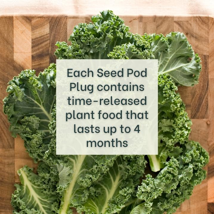Grow Your Own Seed Pod - Complete Seed Pod Plugs with Plant Food | Add Your Own Seeds, 10 Pods, For Hydroponic Gardens