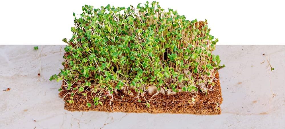 Envelor Coco Coir Fiber Grow Mat for Microgreens 10 x 20 Inches Coconut Coir Seed Starter Liner for Growing Trays