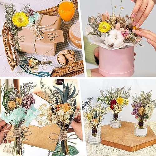 10 Pcs Dried Flowers for Crafts, Mini Dried Flowers Bouquet Bulk for Vase DIY Photo Bridesmaid Gift Birthday Decor