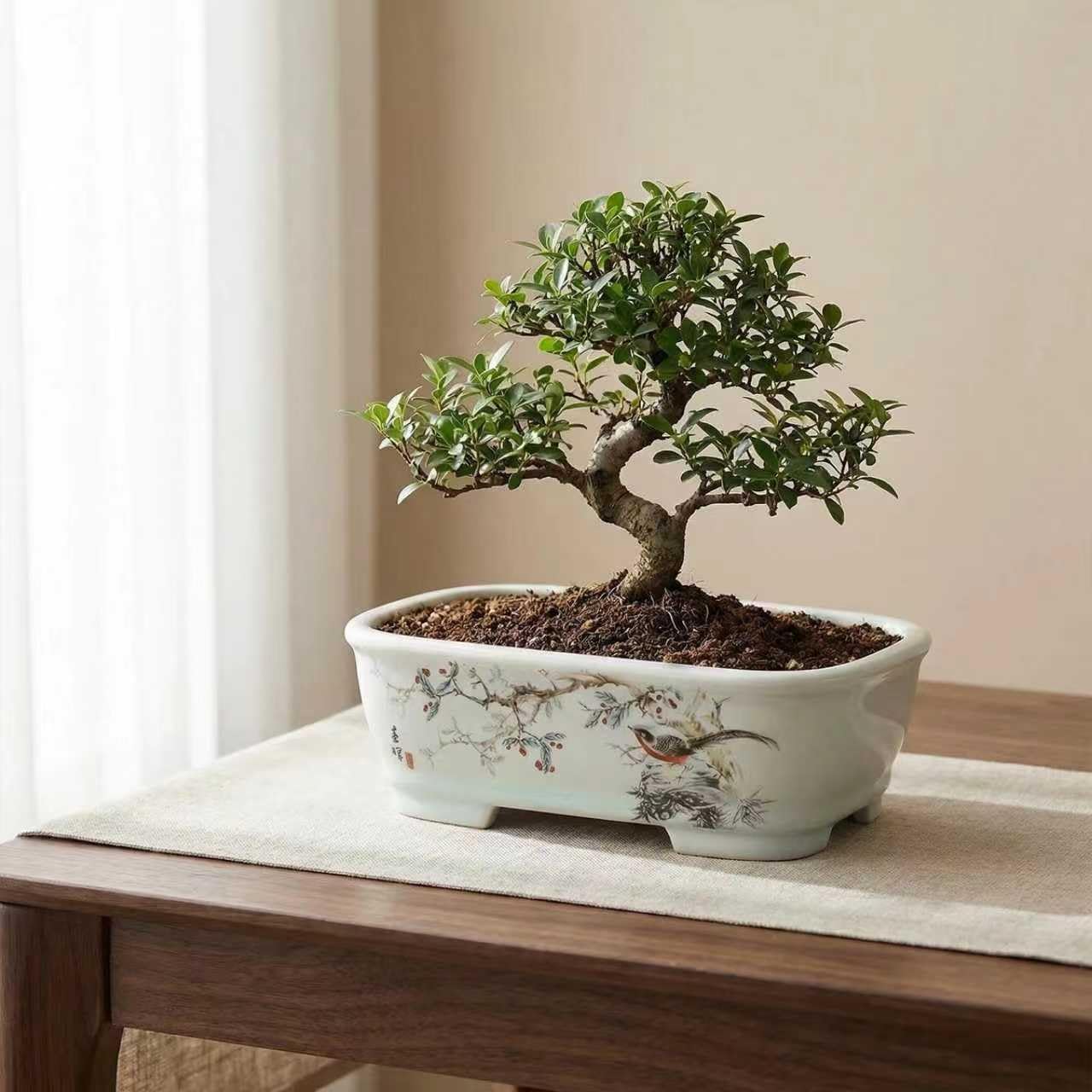 8" Bonsai Pots with Tray, Rectangular Planter in Blue & White | 8" glazed ceramic bonsai pots with tray, large shallow