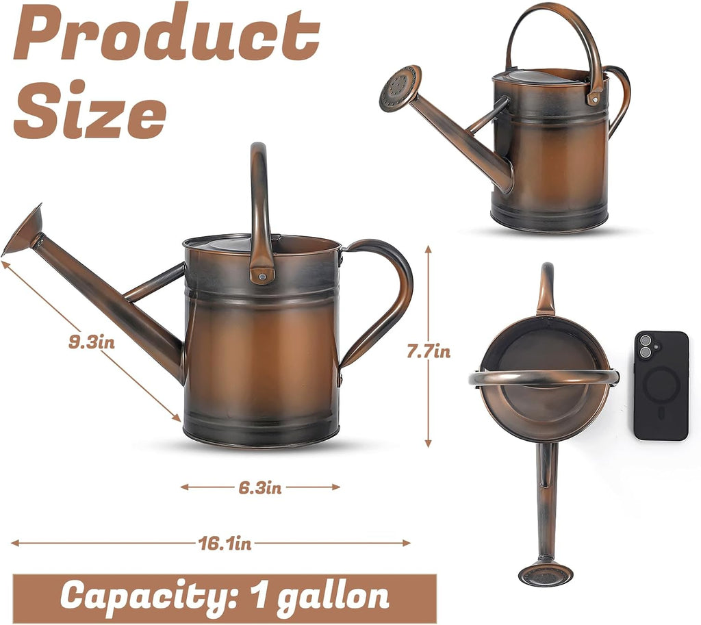 1 Gallon Watering Can for Plants, Watering Cans for Indoor&Outdoor Gardening, Galvanized Steel Watering Pot with