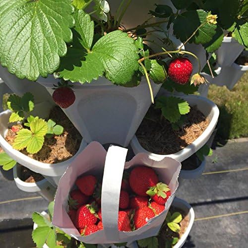 Large 64 Quart - Stackable Planter 5-Pack - Stone Color - Grow More in Less Space - DIY Vertical Gardening System - for