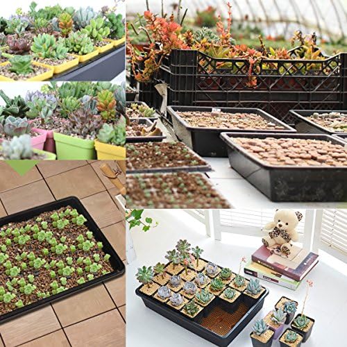 eZAKKA 14.6" x 11.8" Seed Starter Tray Kit with Dome, 20 Cells, White
