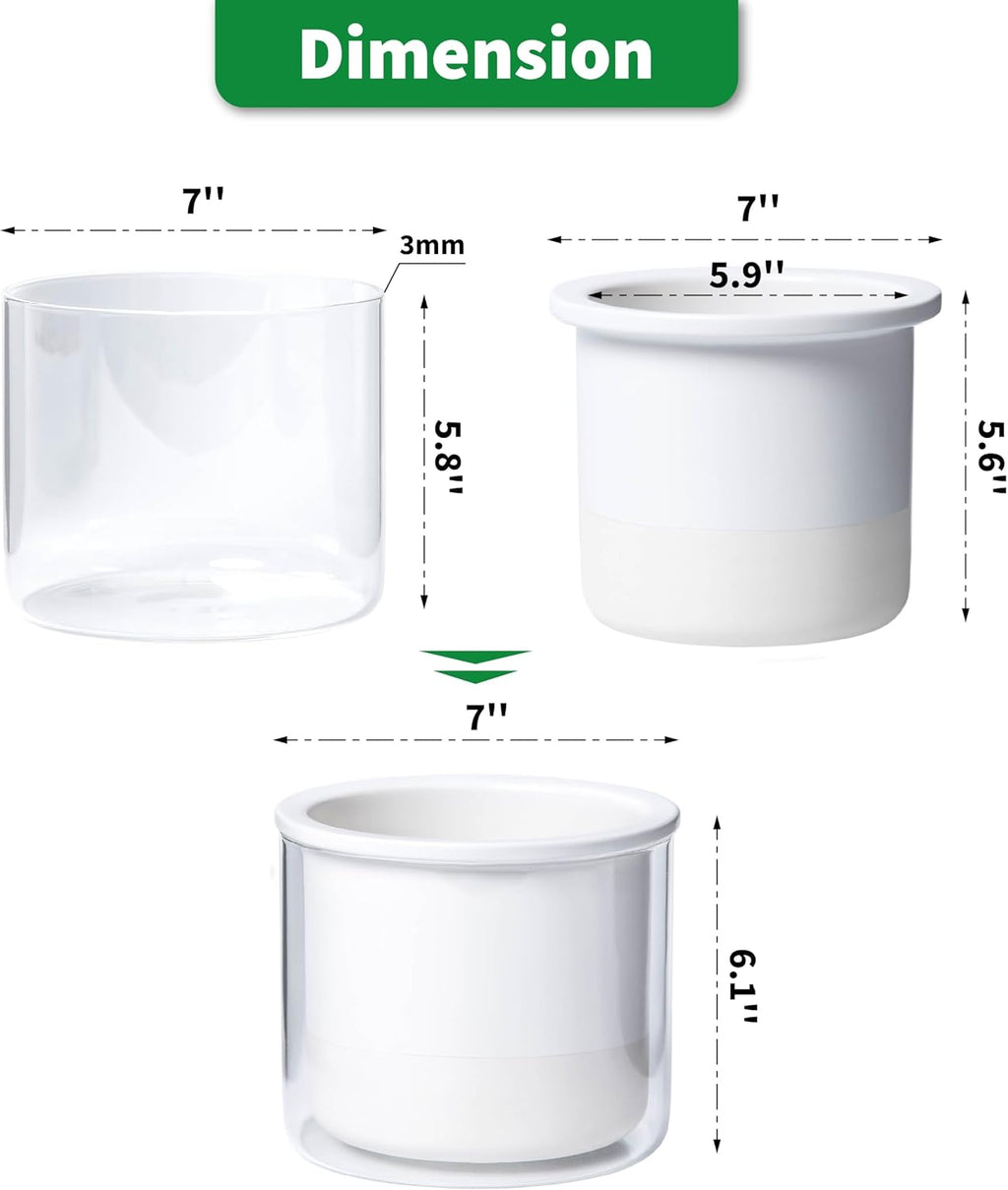 Phoenix Vine 6 Inch Self Watering Planter, Design White Terracotta Pot for Plants, Indoor Cylinder Terra Cotta Pot with