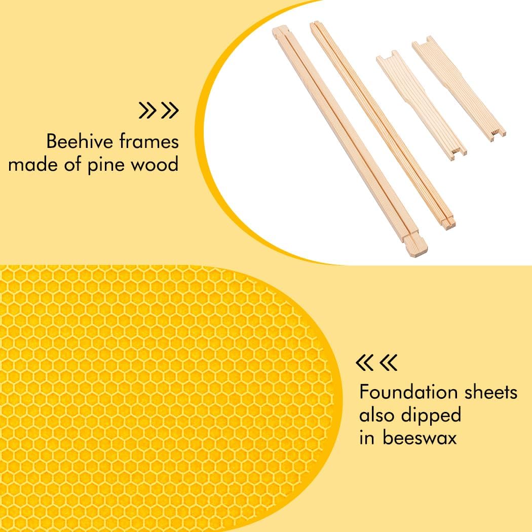 Honey Lake Deep Beehive Frames and Foundations Kit, 10 Pack Brood Wooden Frames and Natural Beeswax Dipped Plastic