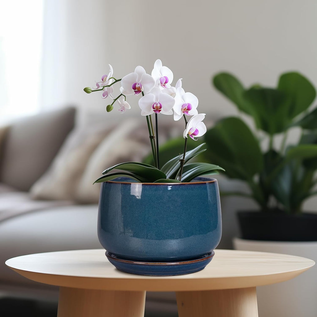 G EPGardening Ceramic Pot for Plants - Modern 7 Inch Round Planter with Drainage and Tray Indoor Outdoor for Flower