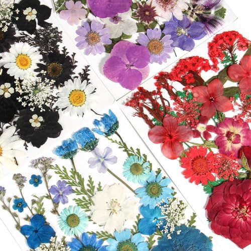 110+PCS Pressed Flowers for Resin, Colorful-B