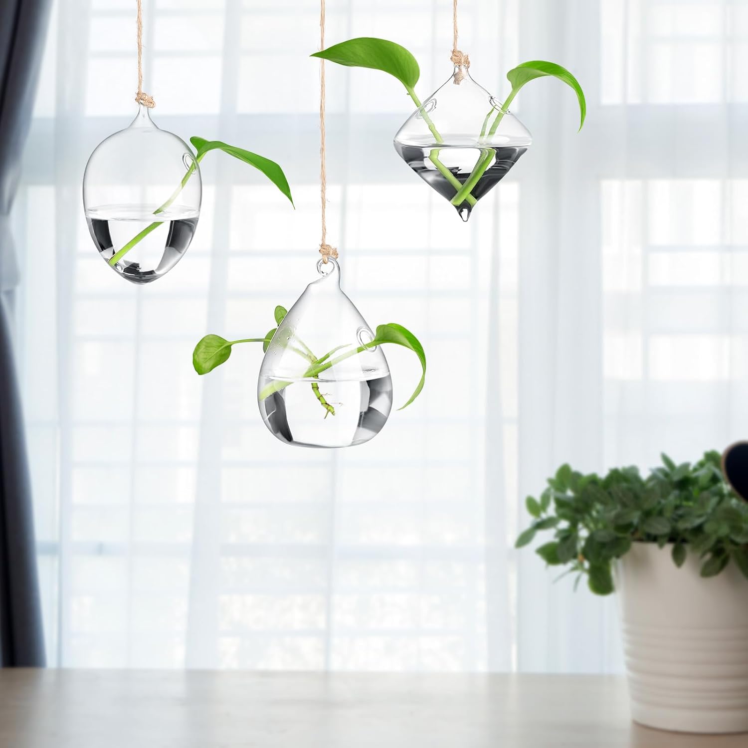 Zopeal 6 Set Wall Hanging Glass Planter Terrarium Propagation Station Vase Container Watering Squeeze Bottle with Rope