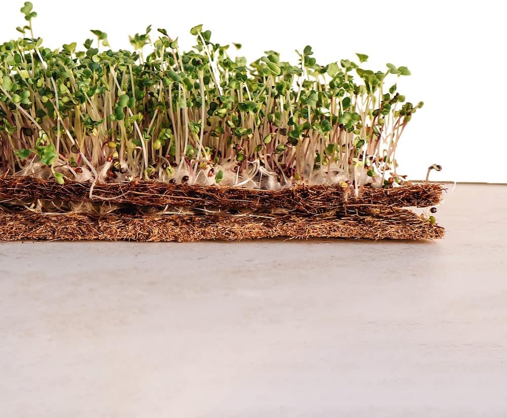Envelor Coco Coir Fiber Grow Mat for Microgreens 10 x 20 Inches Coconut Coir Seed Starter Liner for Growing Trays