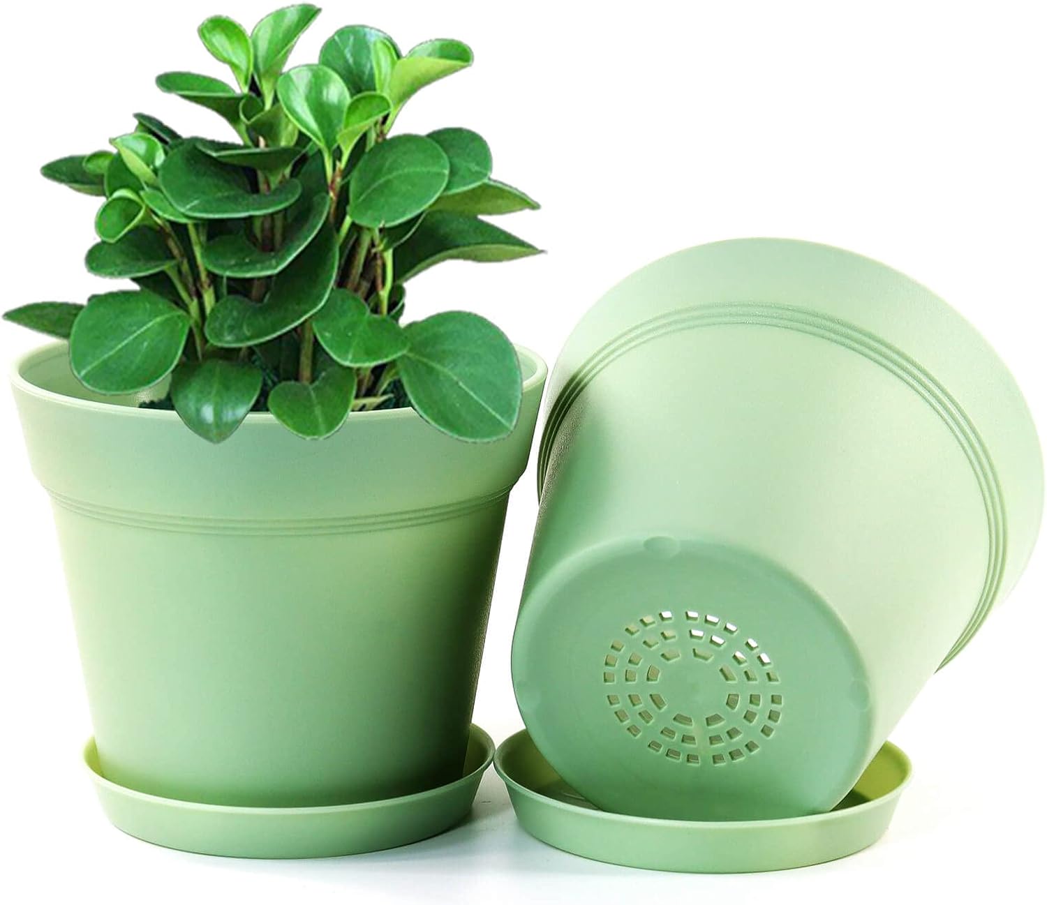 WOUSIWER 16 Pack 6 inch Plastic Planters, Indoor Flower Pots, Heavy Duty and Stylish 6 Inch Plant Pots for Indoor