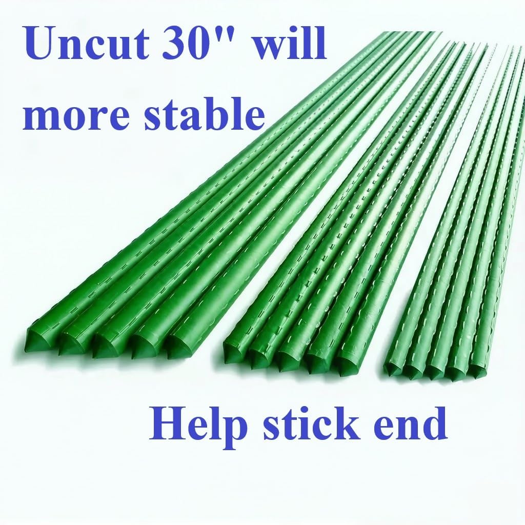 30" Sturdy Eggplant Supports Tomato Cage Plant Trellis Vegetable Stakes Plant Support Cages Planter Metal Inner Plant