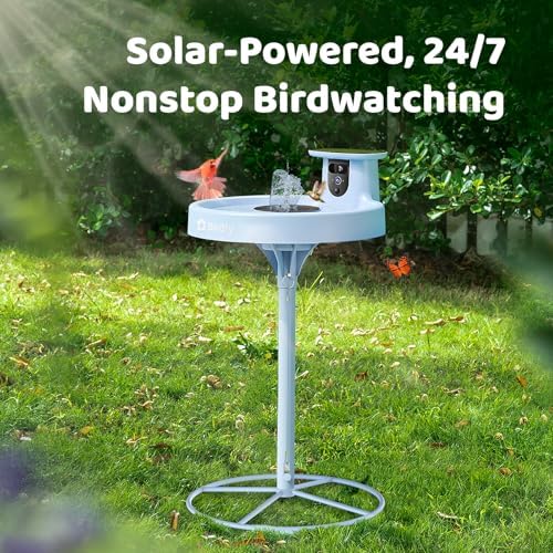 Birdfy Smart Bird Bath with Camera Solar Powered & Fountain & Stand, Dual-Lens Camera for Wildbird Watching, Auto Capture Bird Videos & Motion Detection - AI by Subscription