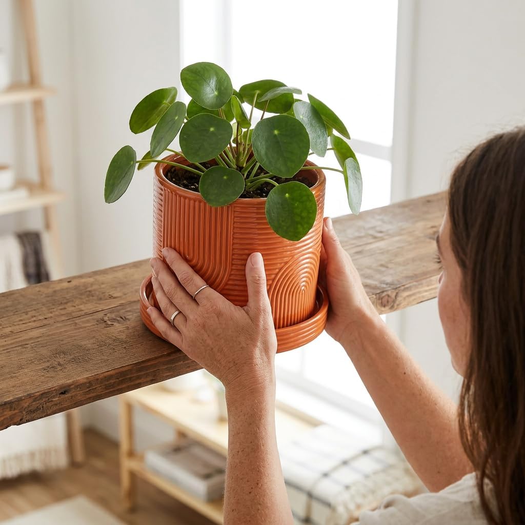 6 Inch Ceramic Plant Pot with Drainage Hole & Tray – Terracotta | Complete Planting Kit: Drainage Hole, Matching Tray &