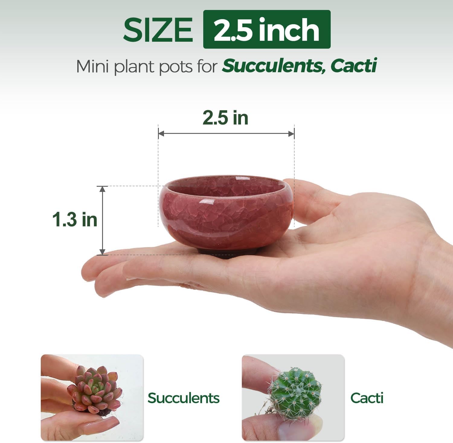 T4U 2.5 Inch Small Ceramic Succulent Planter Pot with Drainage Hole Set of 12, Ice Crack Glaze Plant Container for