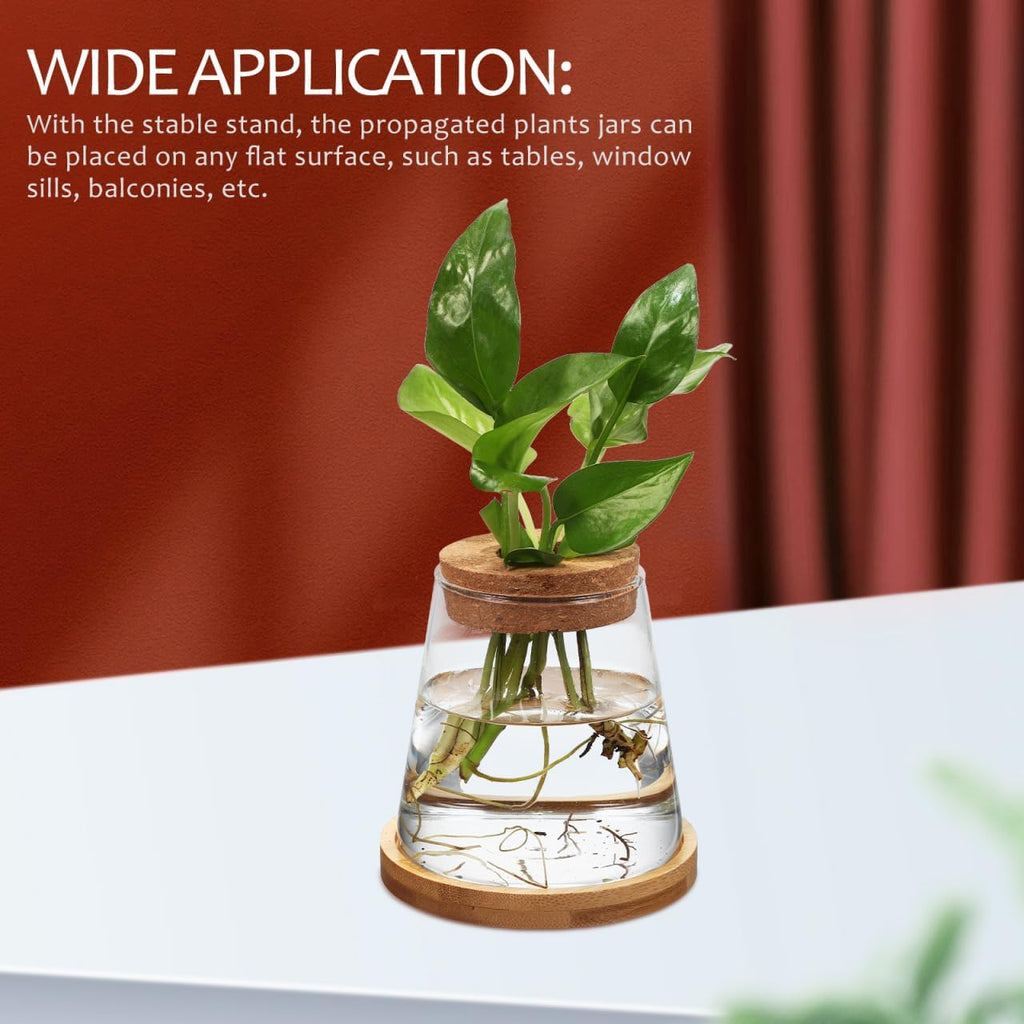 2pcs Glass Plant Propagation Station with Wooden Base Hydroponic Plants Vase for Indoor Decor Glass Terrarium Vase Jars