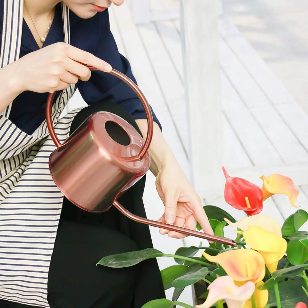Remiawy Watering Can Indoor Outdoor Stainless Steel Watering Cans for House Plants Long Spout Water Can for Succulent