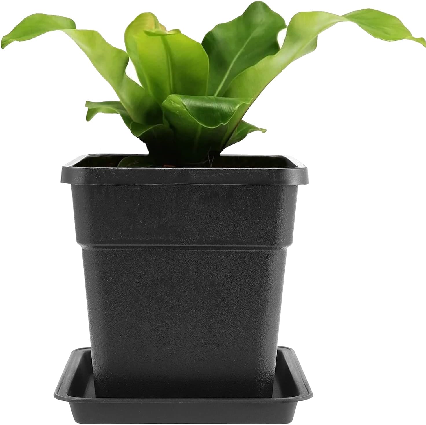 JEUIHAU 16 Packs 5.5 Inch Plastic Square Nursery Pots, Black Square Nursery Plant Pot with Saucers, Seedling Nursery