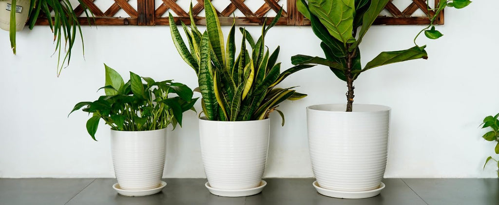 10 Inch Ceramic Planter Pot - Large Plant Pot with Drainage Hole and Saucer, Modern Round Flower Pots for Indoor