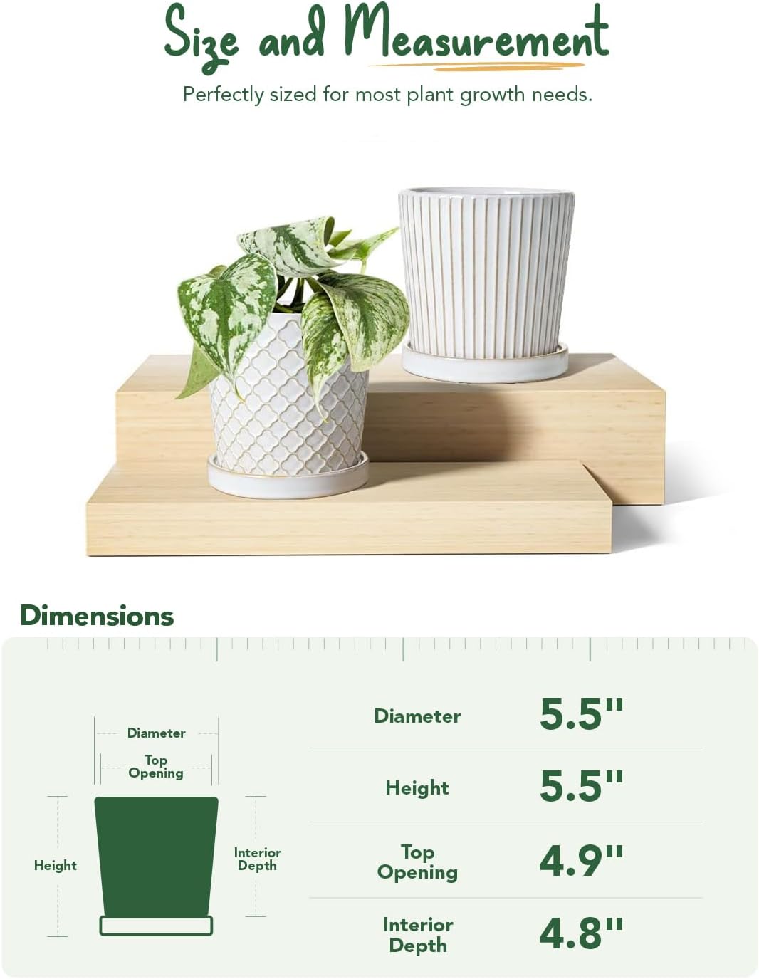 LE TAUCI Ceramic Pots for Plants, 5.4 Inch Plant Pots with Drainage Hole and Saucer, Indoor Plant Pots for Succulent