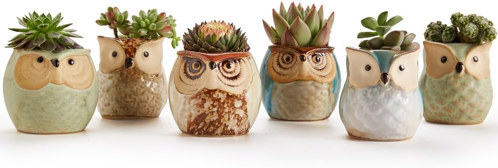 Owl Pot Ceramic Flowing Glaze Base Serial Set Succulent Plant Pot Cactus Plant Pot Flower Pot Container Planter with