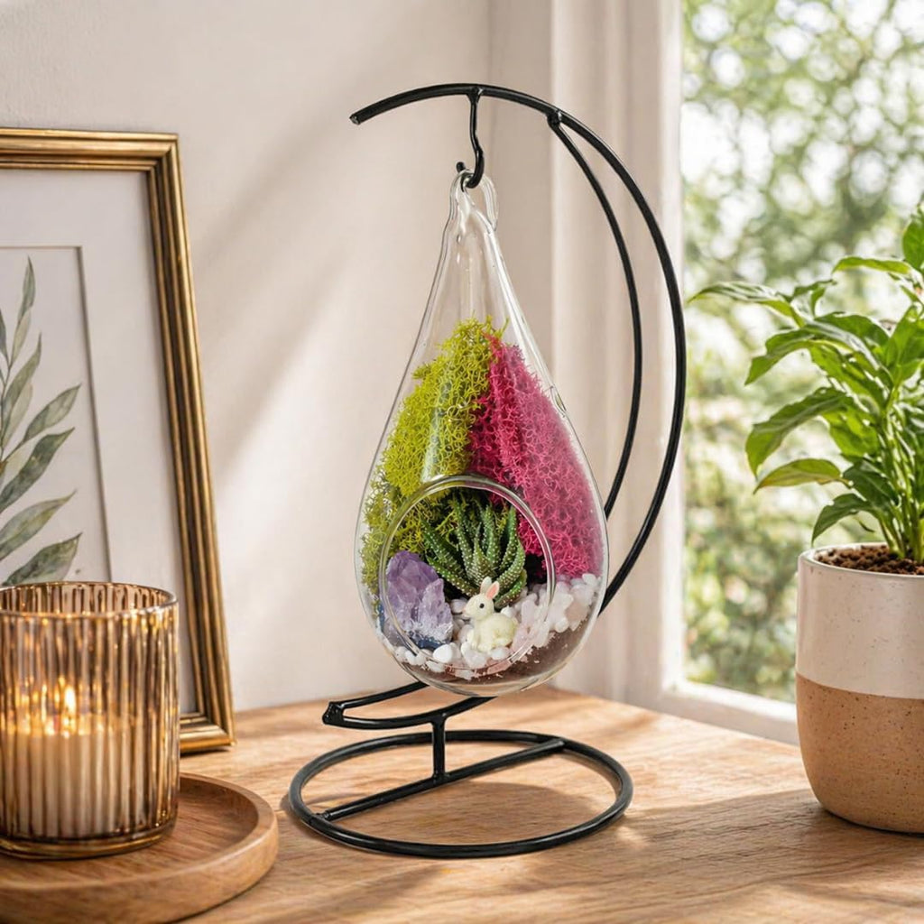 Creations by Nathalie DIY 7" DIY Teardrop Terrarium Kit - Build Your Own Glass Terrarium for Adults & Teens with Moss