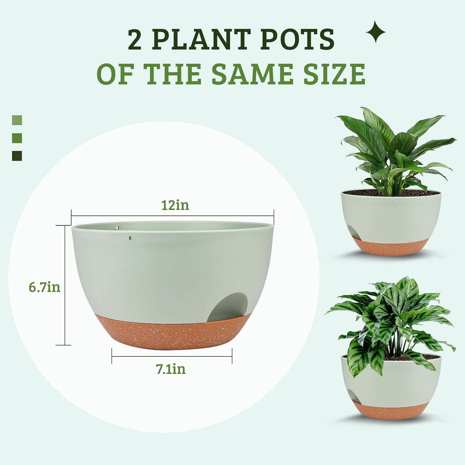Vanslogreen Plant Pots 12inch Self Watering Pots, Set of 2 Plastic Planters with Drainage Holes and Saucers, Flower