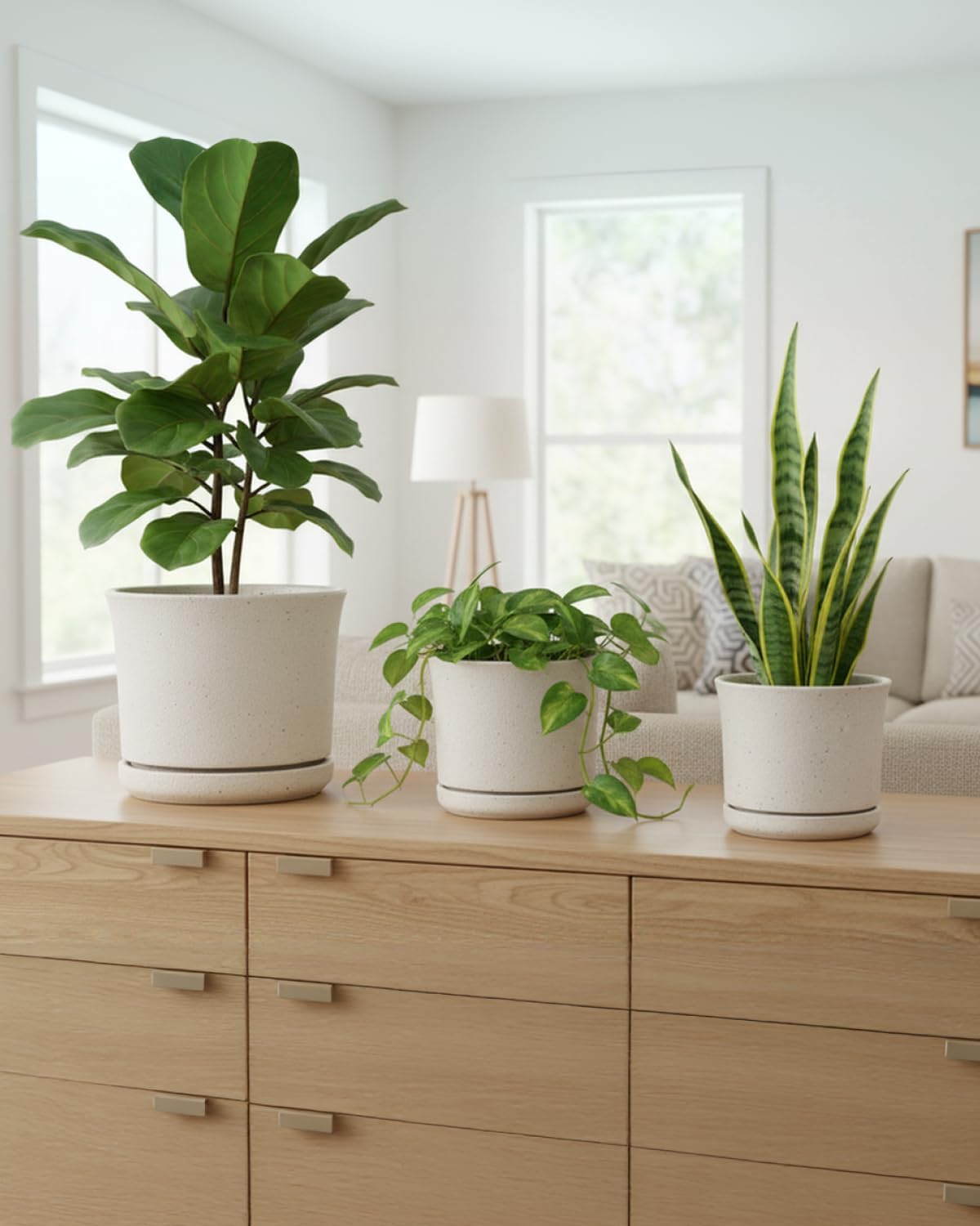 Ceramic Plant Pots, Set of 3, 4.3/5.6/6.9 Inch with Drainage | Modern matte white ceramic planters with attached