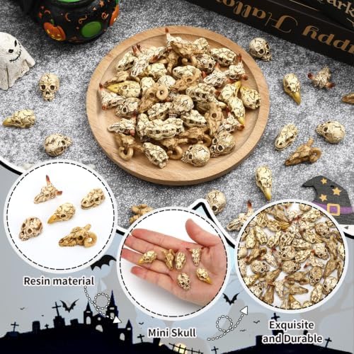 60Pcs Halloween Mini Resin Animal Skulls Heads Tiny Skeletons
