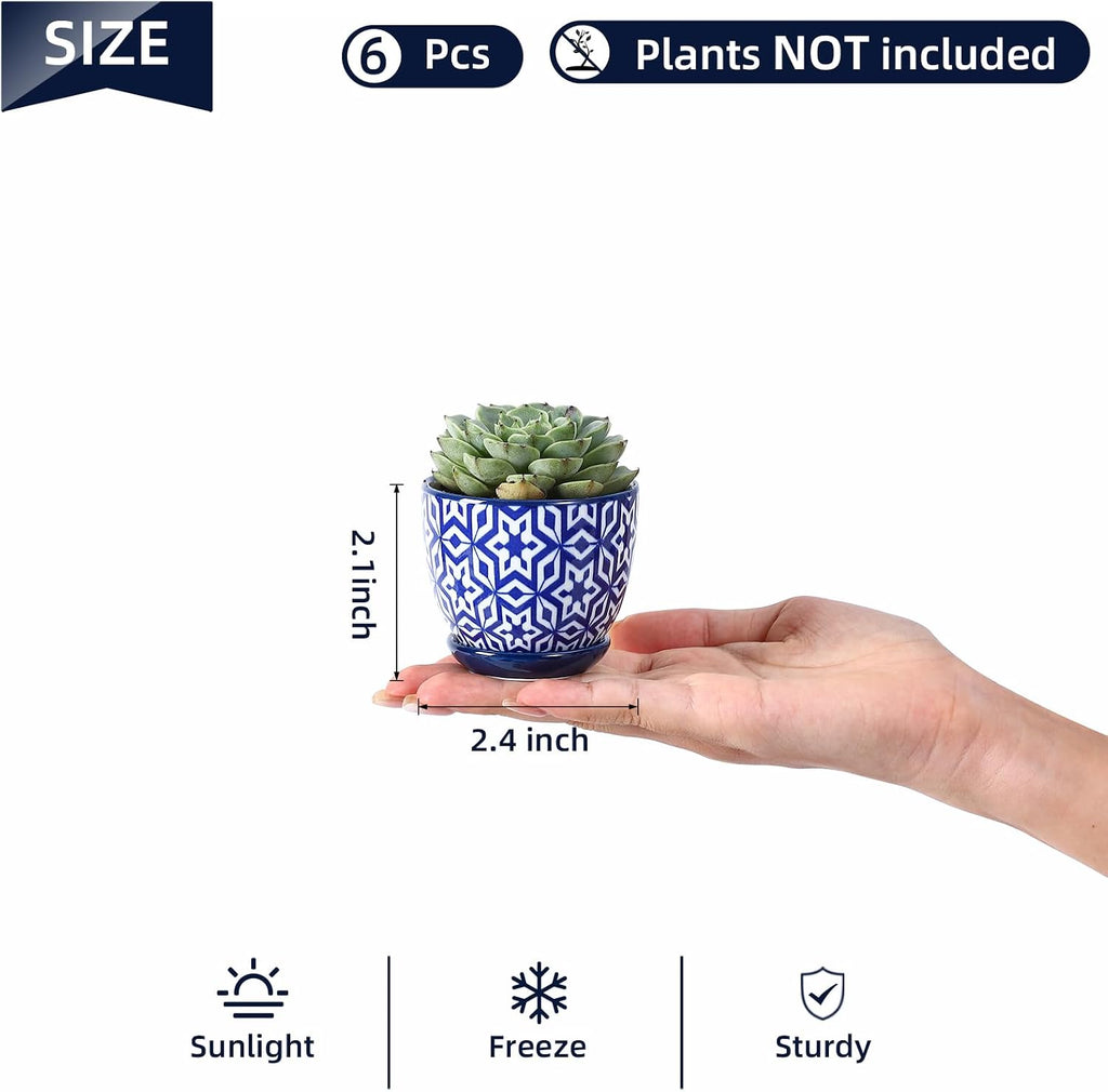 Selamica Ceramic 2.4 Inch Succulent Pots, Mini Succulent Planter Pot for Cactus Plant with Drainage Holes & Saucers