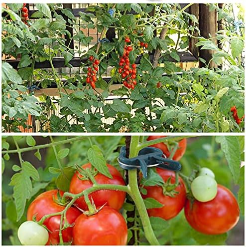 PERSZEN Plant Support Clips, 80 PCS Gentle Flower Plant Clamps for Supporting Vine Climbing Plants, Gardening Lever Loop Gripper Clips Help Stems Vines Grow Straight Upright, 2 Sizes in one Pack