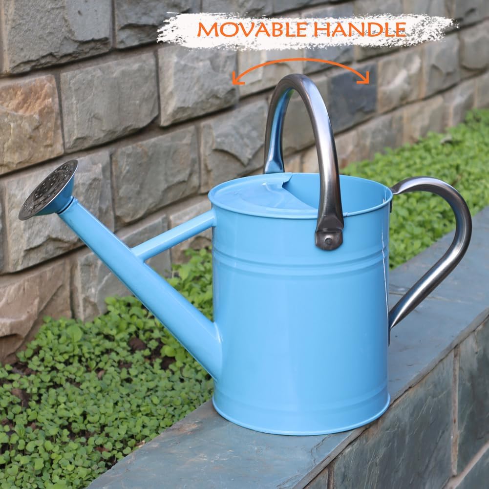 Metal Watering Can, 1 Gallon for Outdoor Garden Plants, Blue | Watering Cans Stainless Steel Handhold with Removable