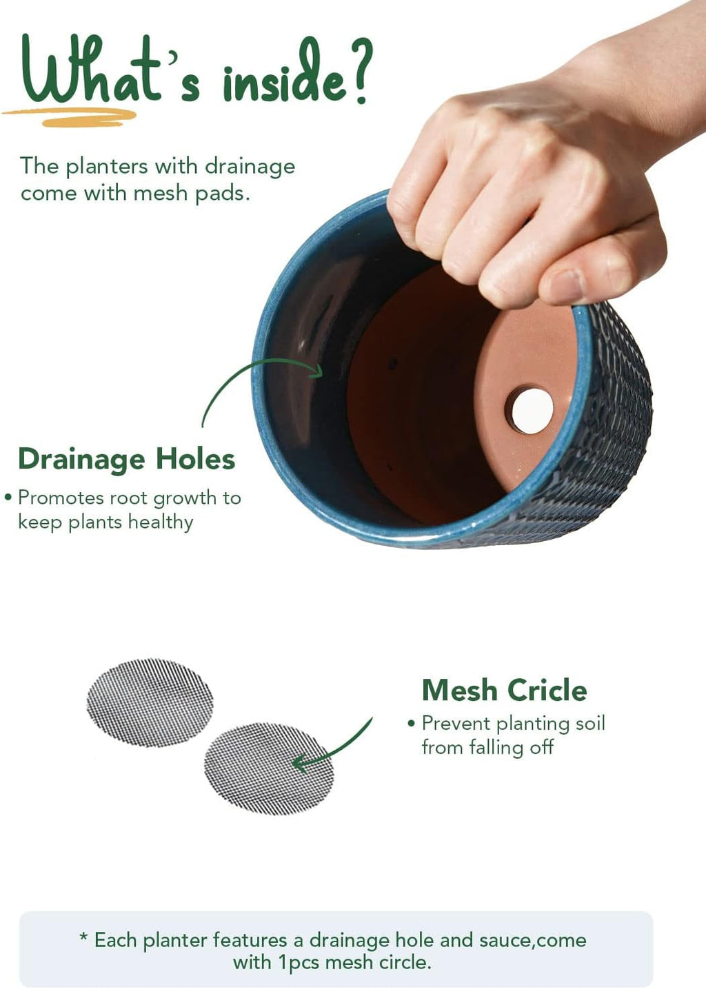 LE TAUCI Ceramic Pots for Plants, 5.5 Inch Plant Pots with Drainage and Saucer, Indoor Plant Pots for Succulents, Snake