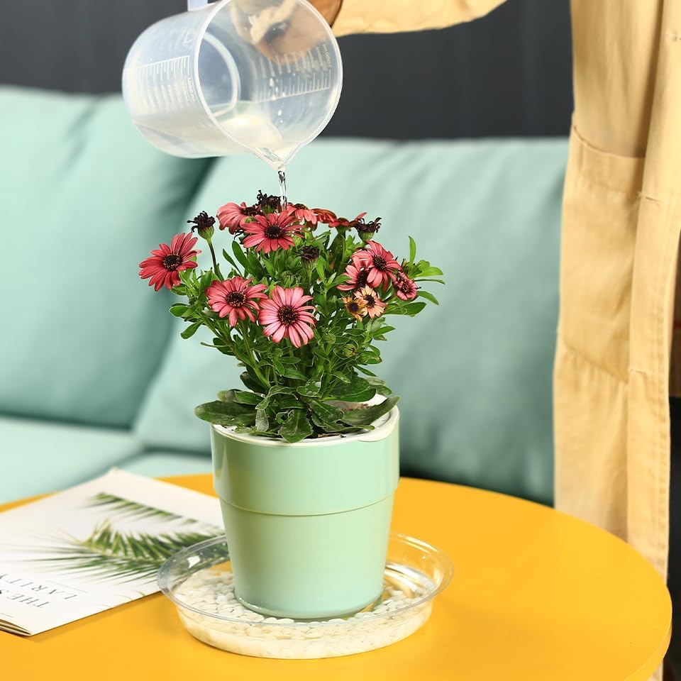12 Packs 18 Inches Large Clear Plant Saucers for Indoor Outdoor Use Heavy Duty Plastic Plant Trays for Planter Bulk
