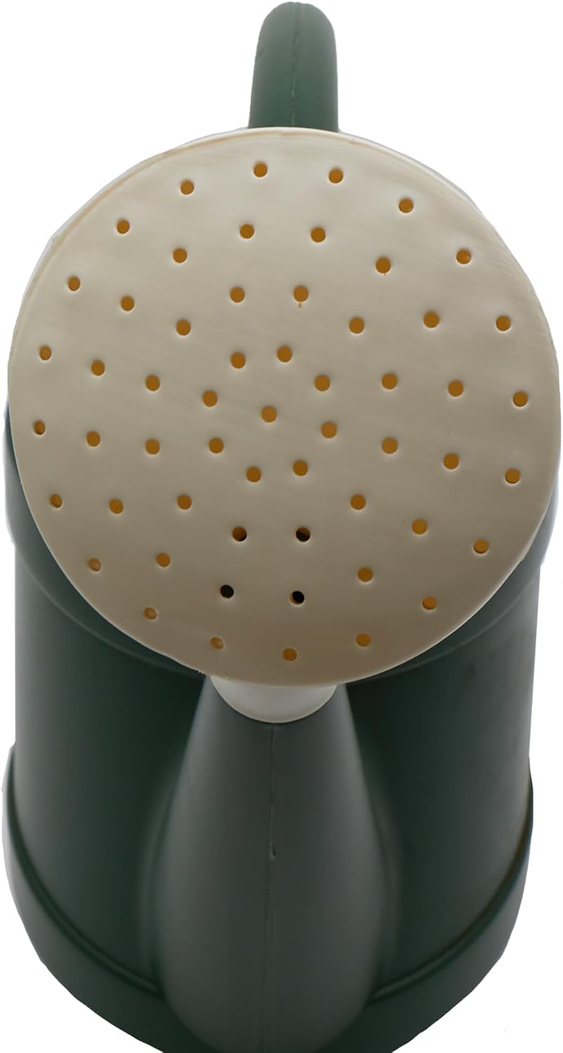 Standard Watering Can - Plant Watering Can - Small Plastic Garden Water Pot for Indoor Outdoor Plants Flowers by The HC