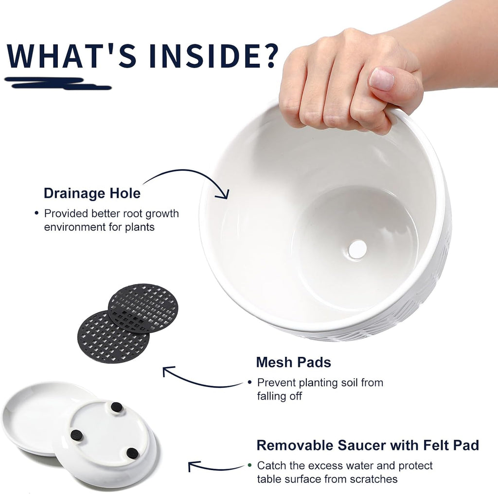 Sureasy Ceramic Indoor Plant Pots - 5.6 Inch Flower Pots for Plants with Drainage Hole and Saucer, Embossed Planter for