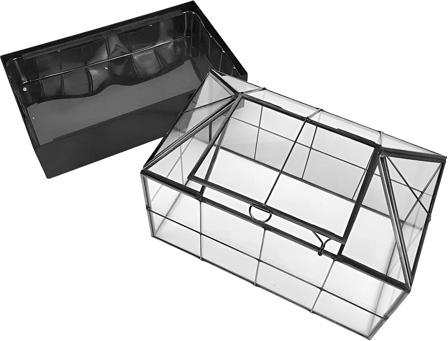 Large Tall Plant Terrarium Glass – Glass Greenhouse Terrarium with Lid and Tray,Indoor Tabletop Orchid Succulent Cacti