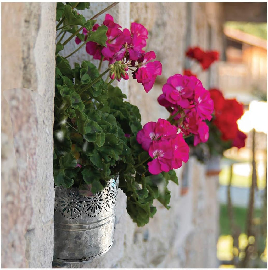 Lily's Home Indoor Outdoor Wall Mounted Planter with Floral Accents for Succulents, Cacti, Herbs, Faux Plants
