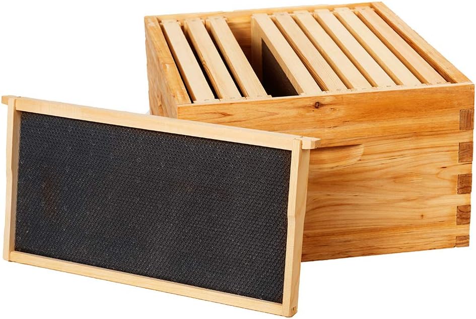 BeeCastle Heavy Wax Coated Unassembled Langstroth Deep/Brood Box with Frames and Beeswax Coated Foundation Sheet (10