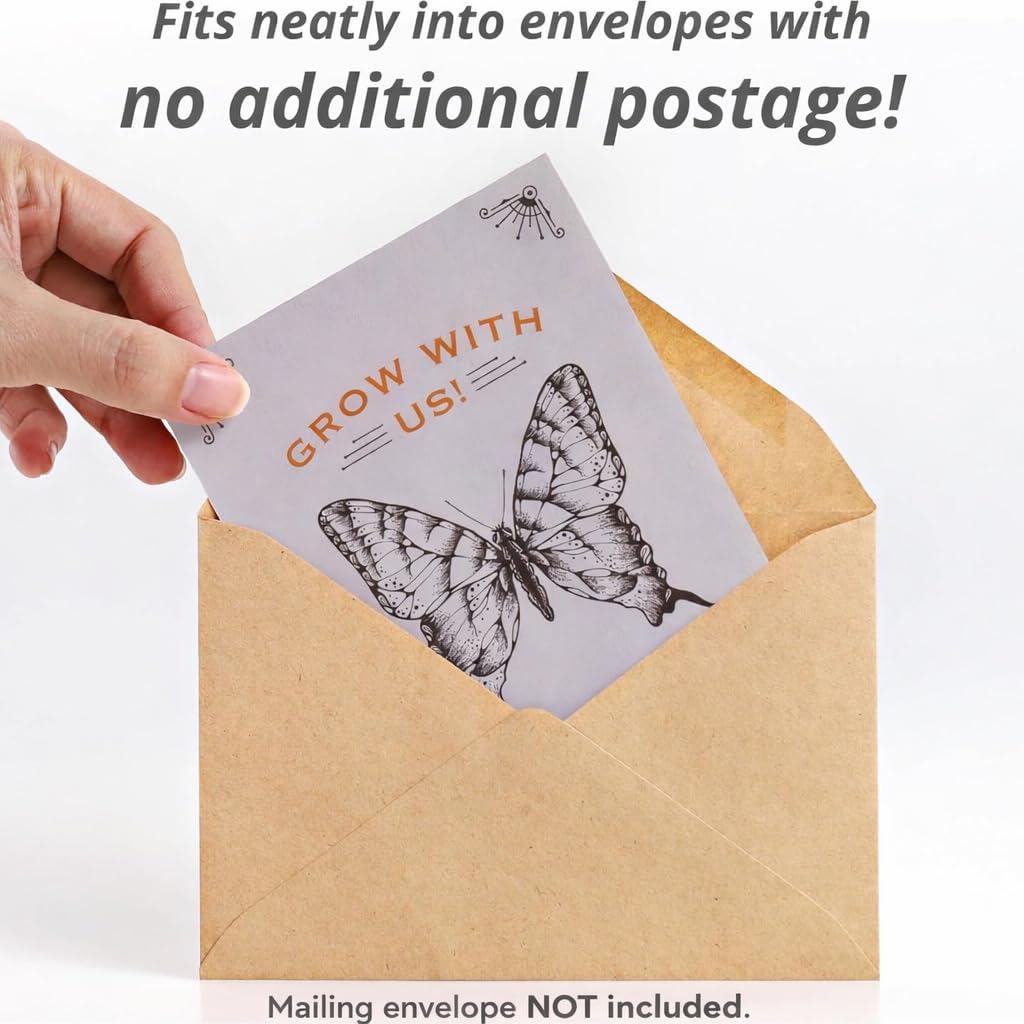 Bentley Seeds Grow with Us Pre Filled Butterfly Mix Seed Packets - 25 Individual Assortment Butterfly Mix Seed Packs